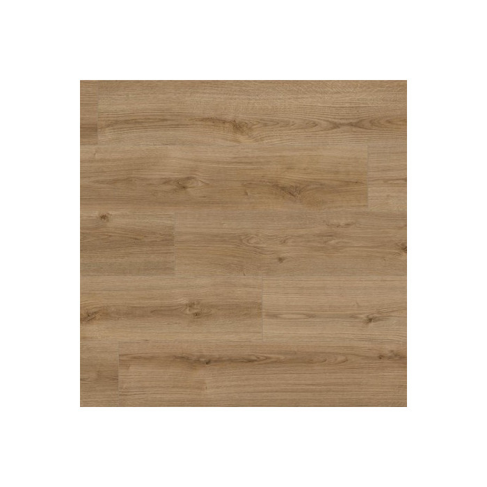 Ламинат Kaindl Natural Touch Standard Plank K4421 Дуб Тренд (Oak Evoke Trend)