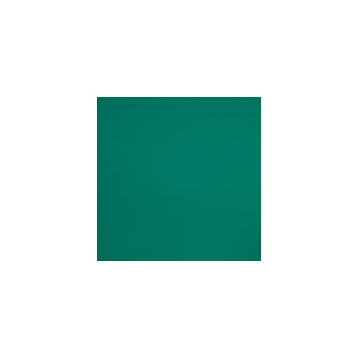 Линолеум спортивный коммерческий Tarkett Omnisports ACTION 65 FT Green