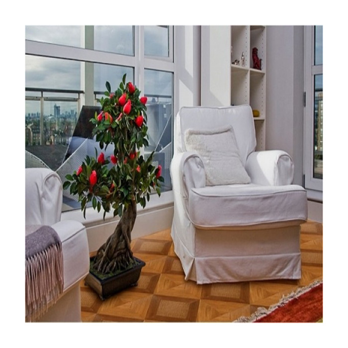 Ламинат Westerhof Aristocrat 0701-1713 Прованс