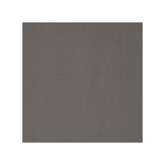 Бытовой ковролин President 093