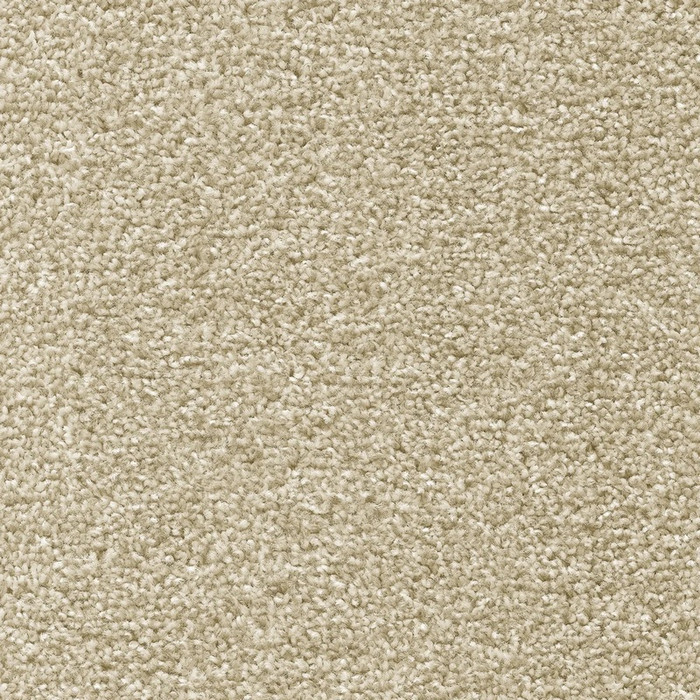 Бытовой ковролин Tuftex 03