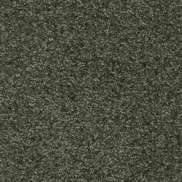 Бытовой ковролин Equator 24