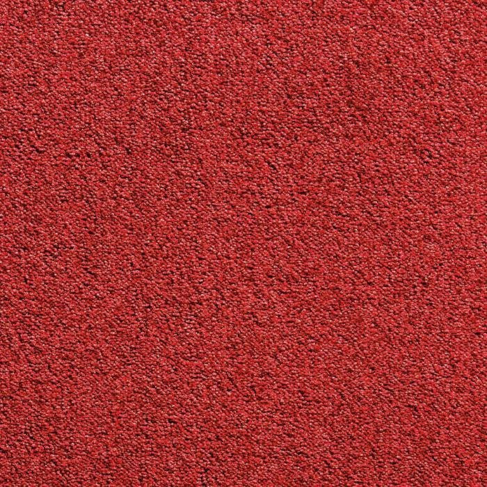Бытовой ковролин Exclusivo 011