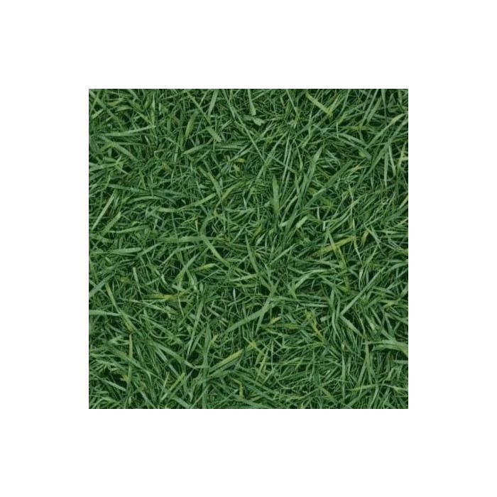 Бытовой линолеум Grass T25
